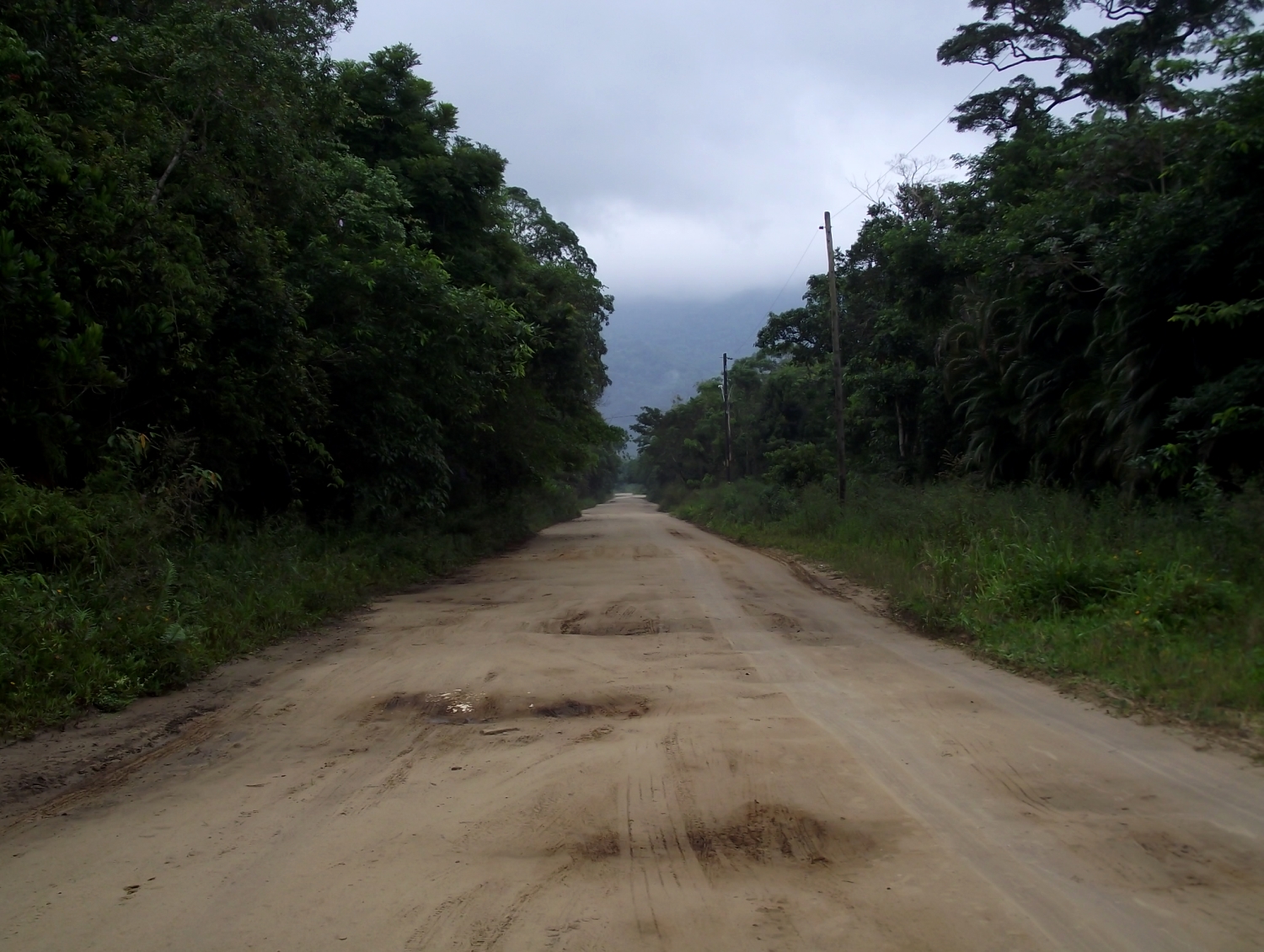 rua deserta e cercada pela mata altântica