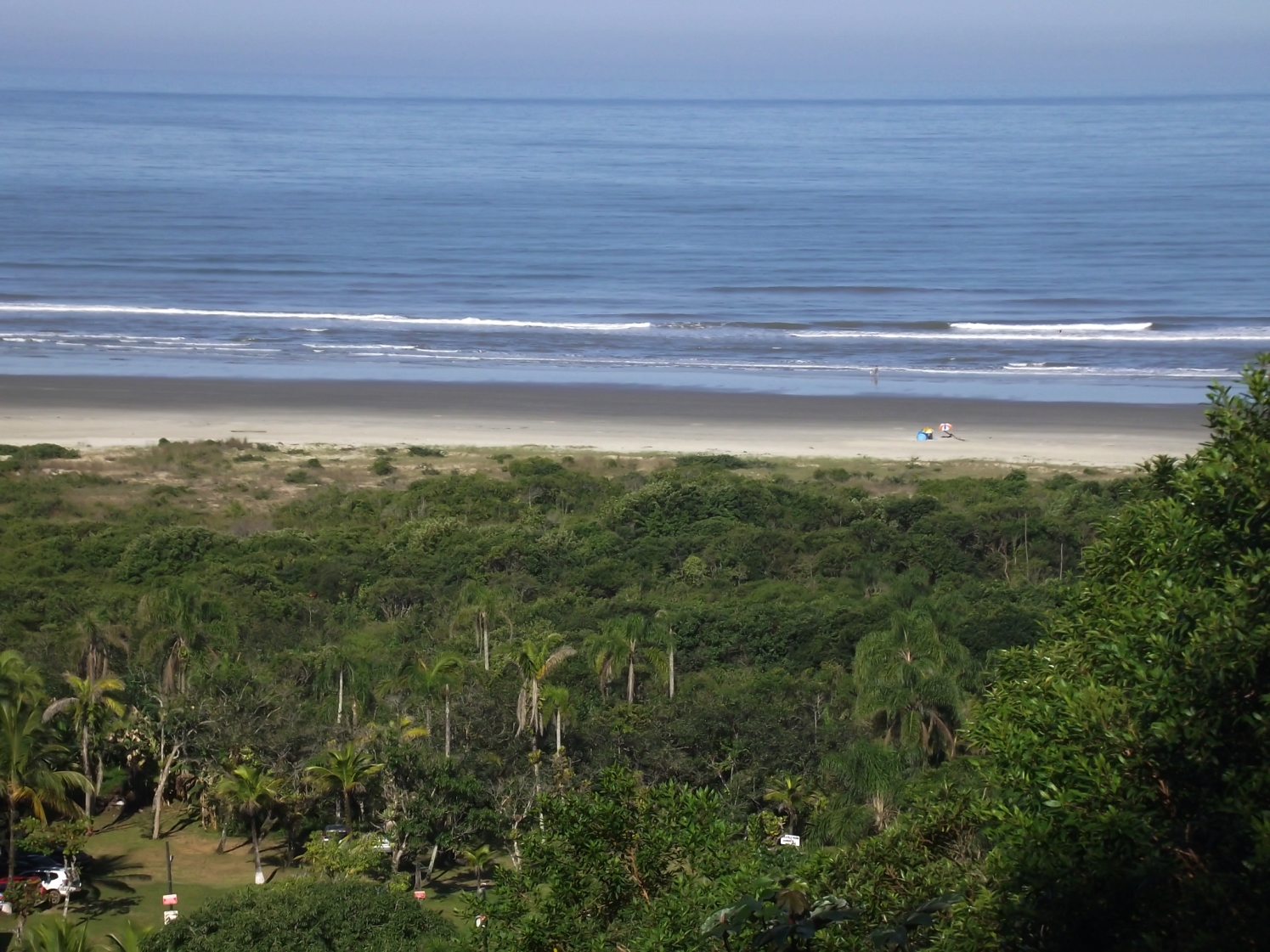 vista da floresta e mar pelo mirante do caramborê