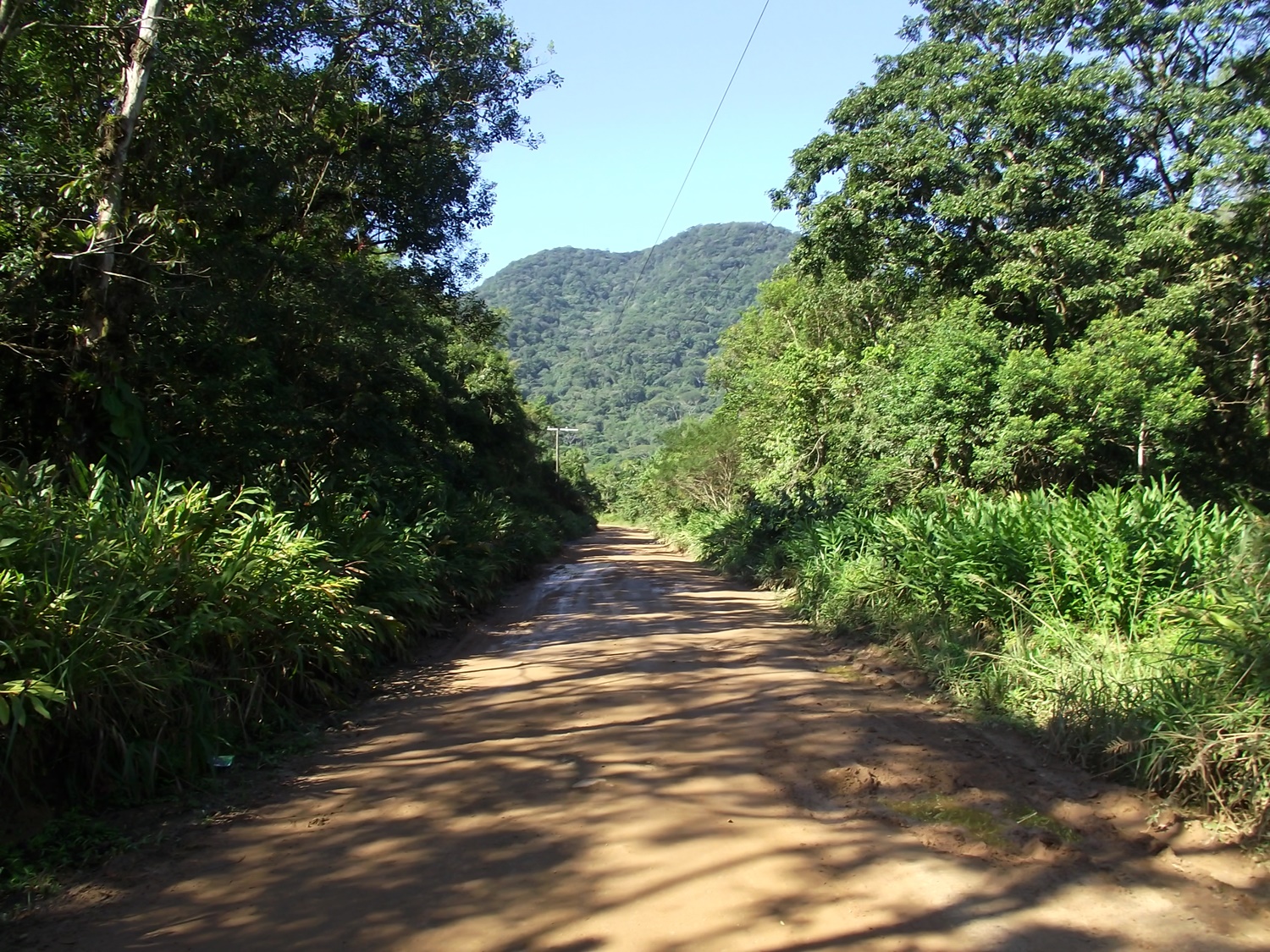 estrada do una em meio a mata com céu azul e morros