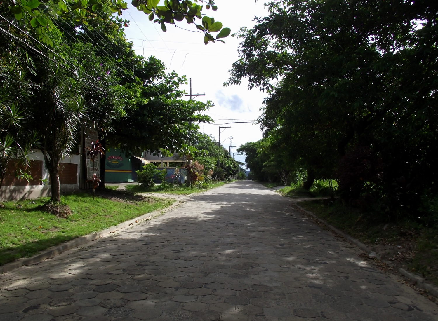 avenida de paralelepípedos cercada pela natureza