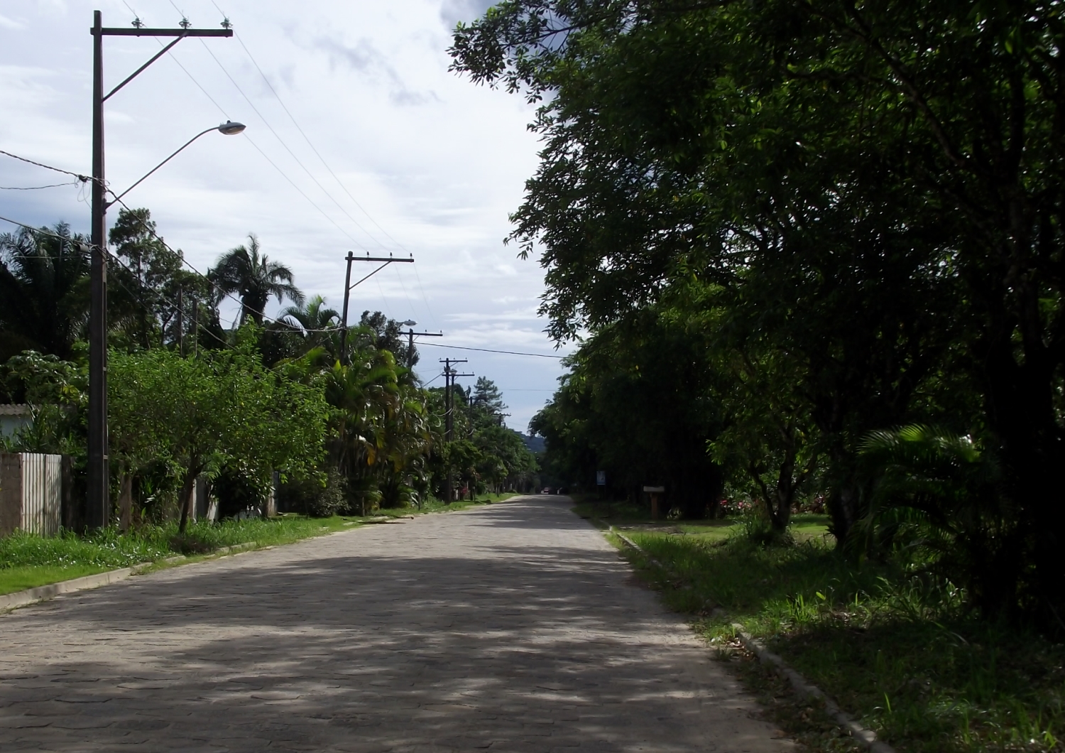 avenida cercada pela natureza no bairro garça vermelha