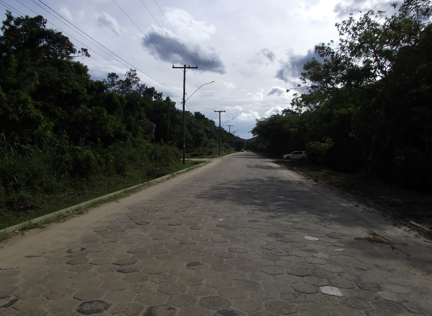 avenida cercada pela natureza no bairro garça vermelha