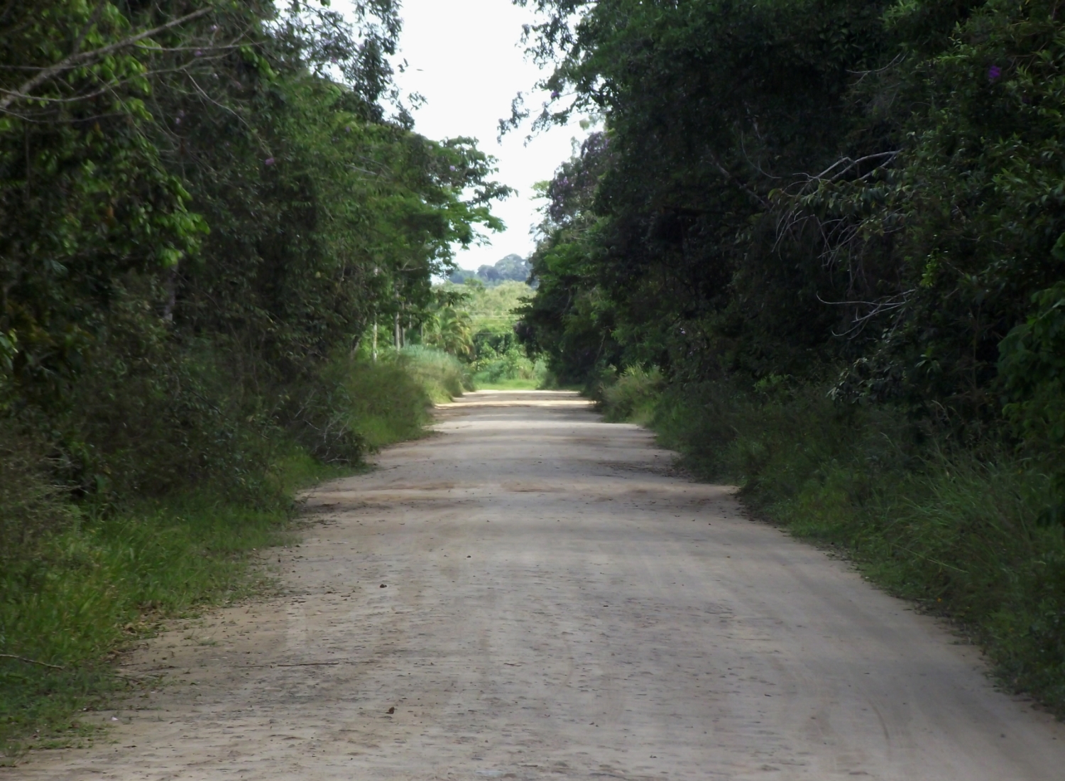 rua deserta do bairro garça vermelha