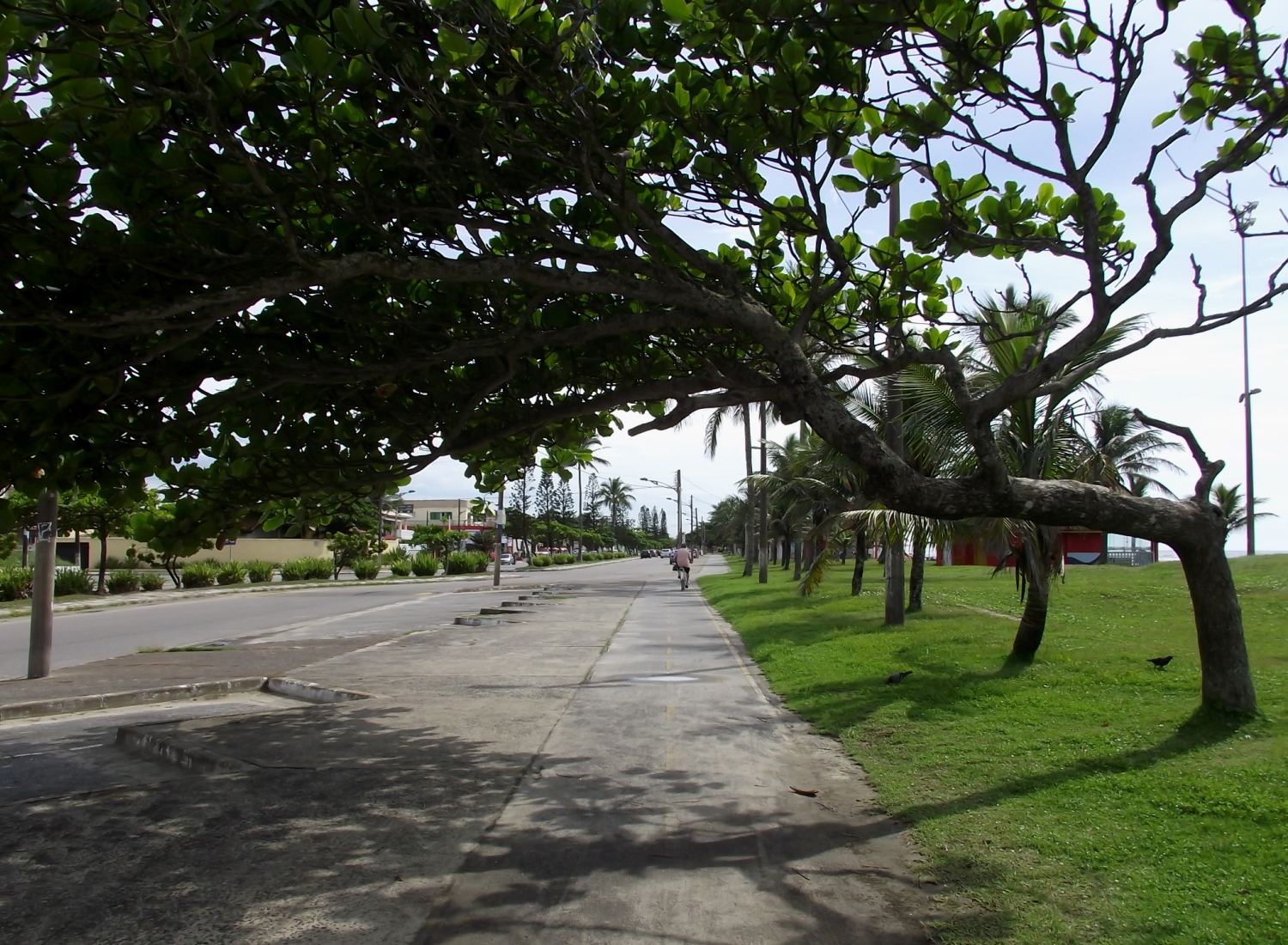 ciclovia com avenida ao lado esquerdo e praia ao direito