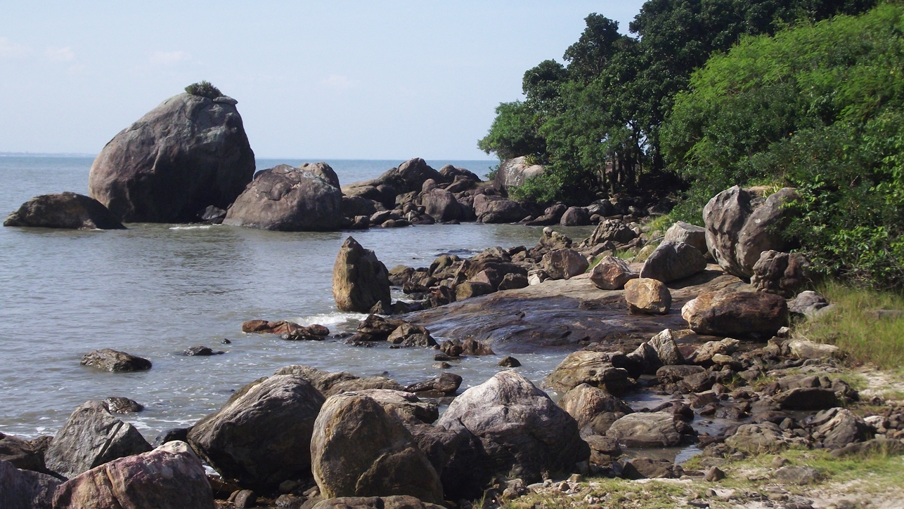 praia com muitas rochas e vegetação bem verde