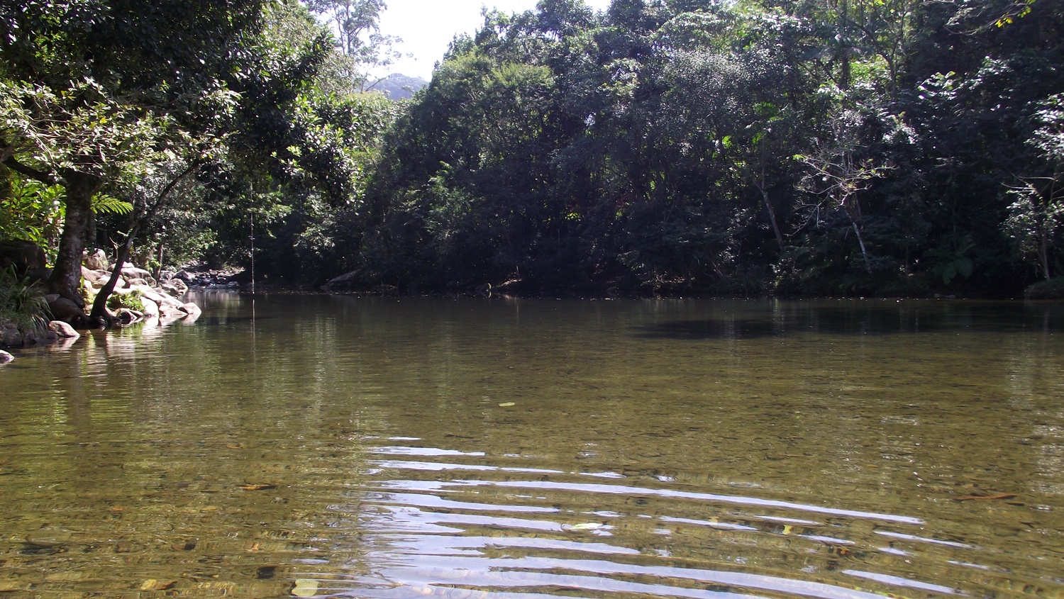 Piscinão natural cercado pela mata atlântica.