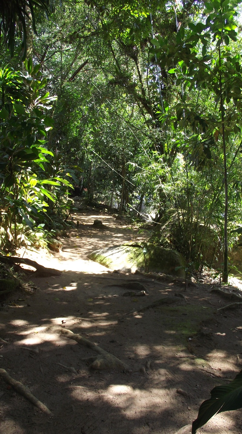 Trilha que segue paralela às margens da Cachoeira do Perequê.