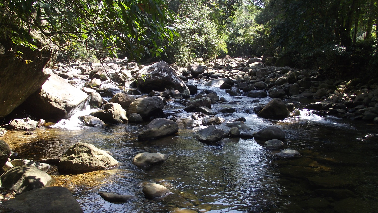 Corredeiras do Perequê repletas de pedras redondas e escorregadias.