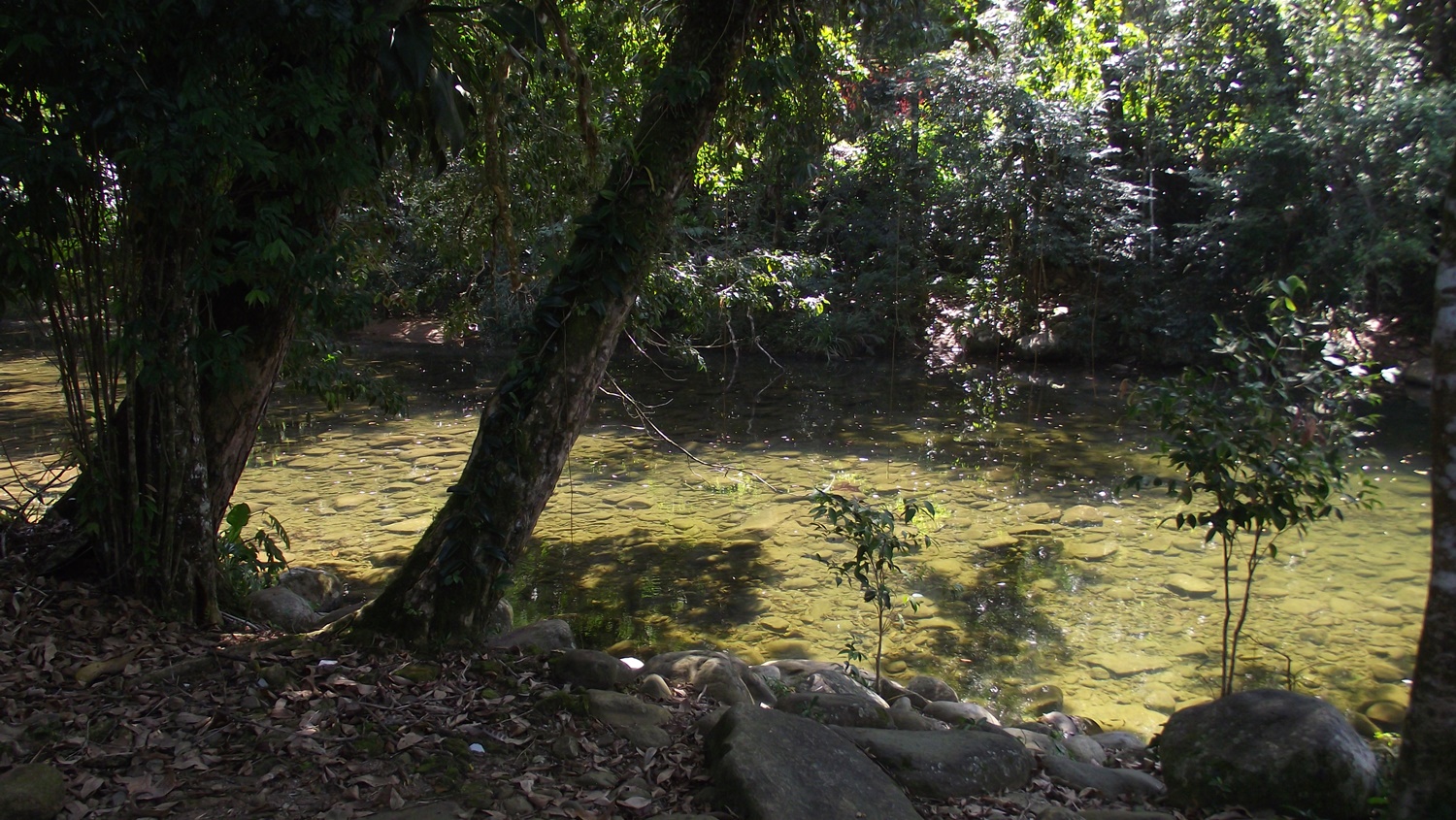 Piscinão cristalino contrastando com sua margem cheia de rochas e folhas secas.